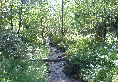 Heb enkele dagen verlof gehad in de Ardennen op een camping met enkele maten